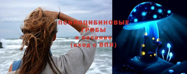 крисы Абинск