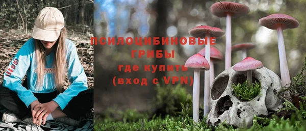 трава Архангельск
