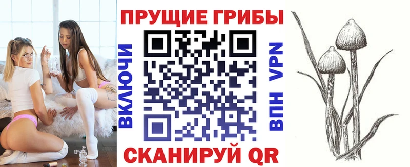 дарк нет телеграм  цены   Новочебоксарск  Псилоцибиновые грибы MAGIC MUSHROOMS 