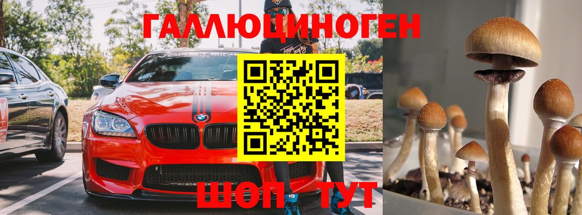 Псилоцибиновые грибы Cubensis Новочебоксарск