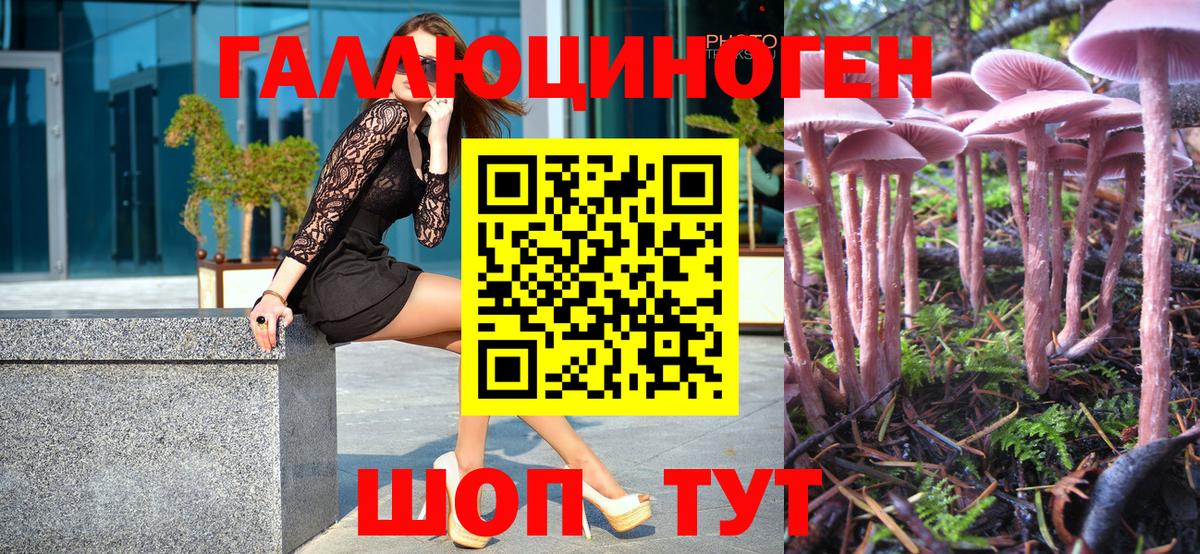 Новочебоксарск  Псилоцибиновые грибы Magic Shrooms  Вход с VPN 