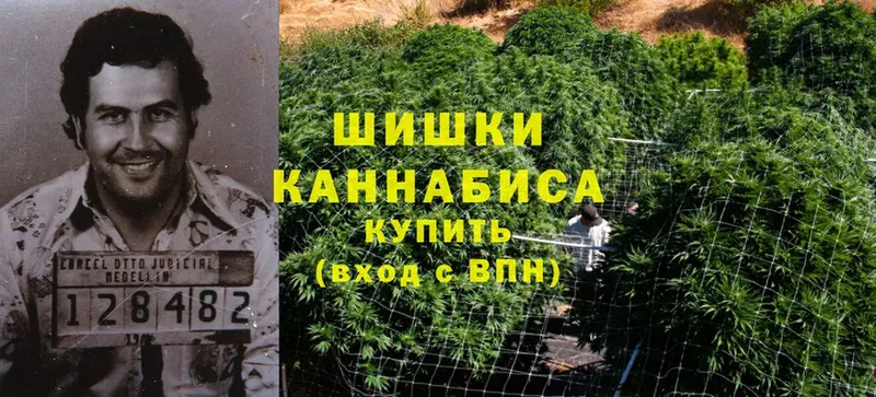 Шишки марихуана OG Kush  цена   Новочебоксарск 